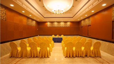 gallery7